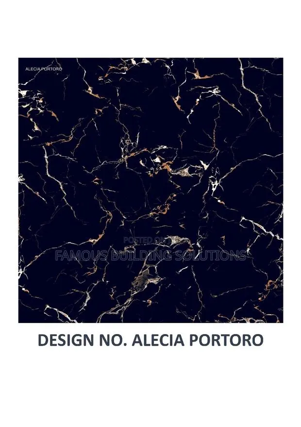 Polished Blacko 60/60 Floor Tiles · Photo 1