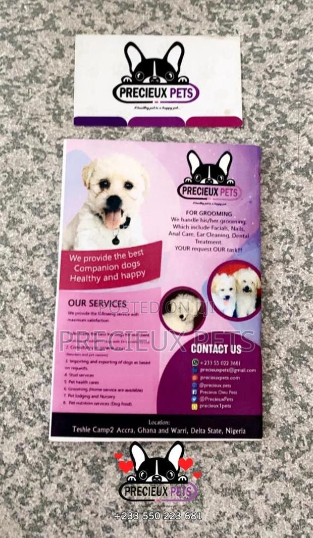 Puppies And Adult Medical Record Cards · Photo 2