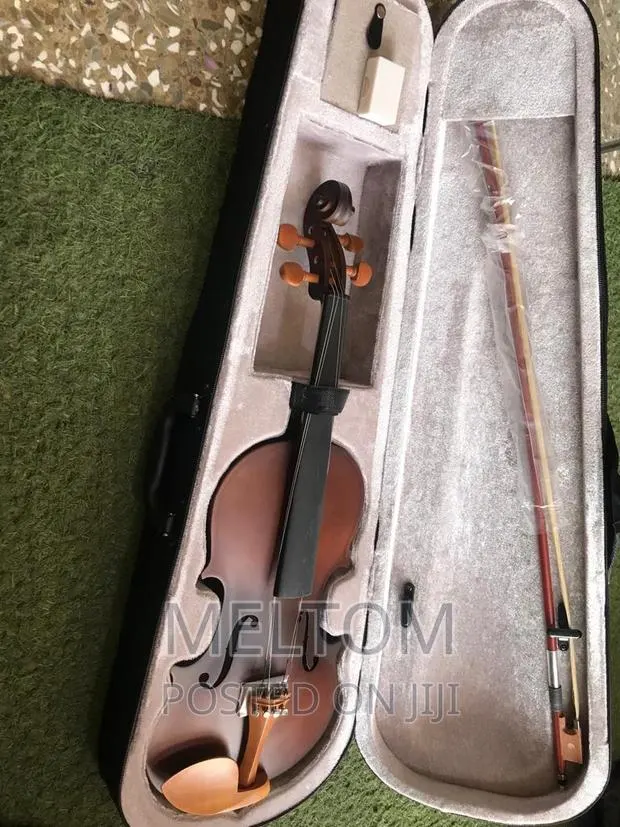 Acoustic Violin 4/4 · Photo 1