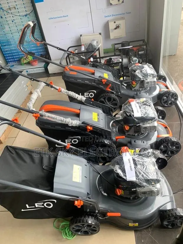 Leo 4hp Lawn Mower · Photo 1