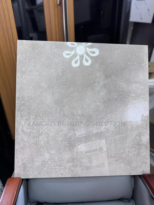 Porcelain 60/60 Floor Tiles · Photo 1