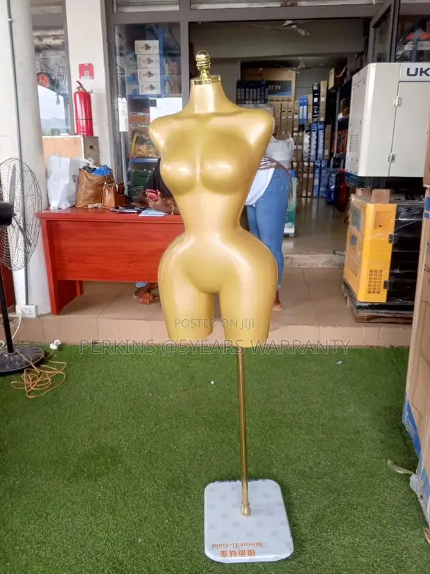 Elegant Female Display Torso for Fashion Stores · Photo 1