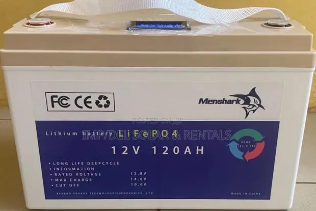 Lithium Battery LiFePO4 12V 120Ah Deep Cycle Batteries · Photo 1
