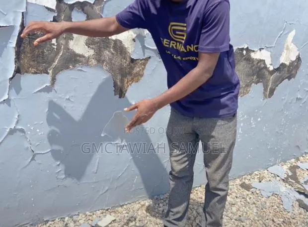 Wall Dampness Solutions · Photo 1