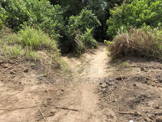Over 300 Acres of Fully Registered Land Is for Lease · Photo 1