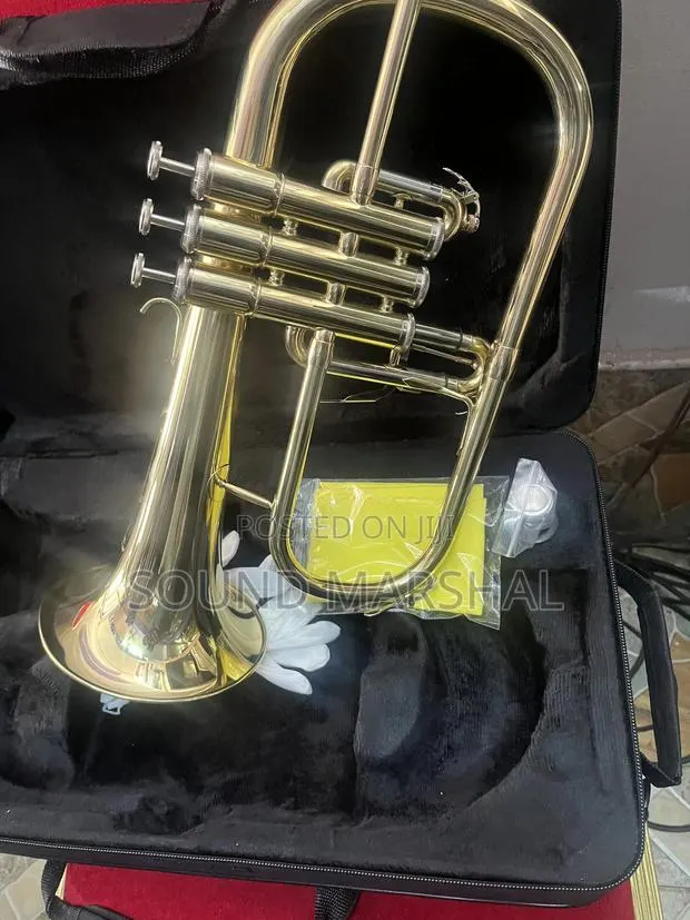 Gold Flugehorn · Photo 1