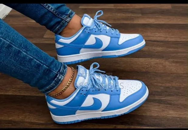 Nike Sb Dunk Low University Blue and White · Photo 1