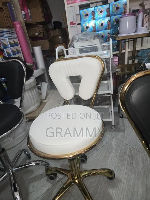 Luxury Portable Barbing Chair · Photo 1