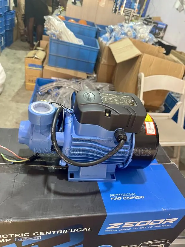 Small Zegor Pump · Photo 1
