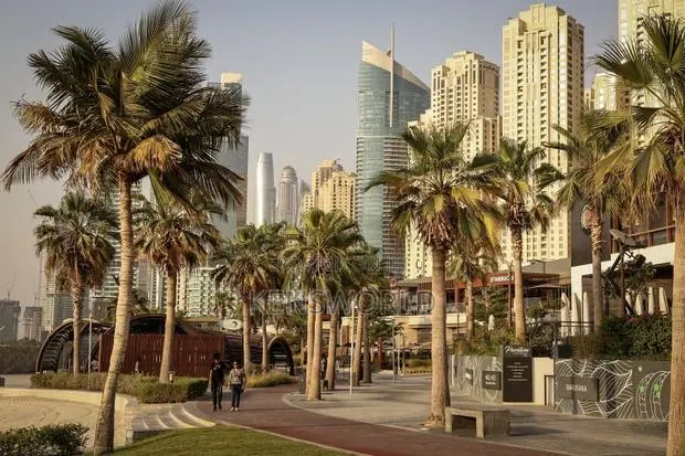 Work in Uae · Photo 1