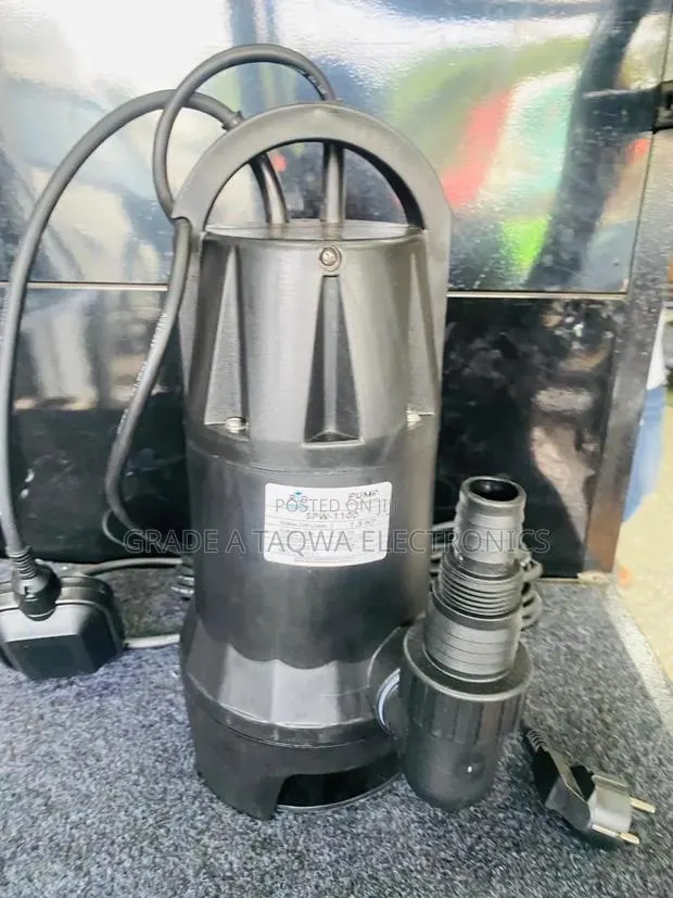 Mainly Water Rio 1.5hp Garden Submersible Water Pumps · Photo 1