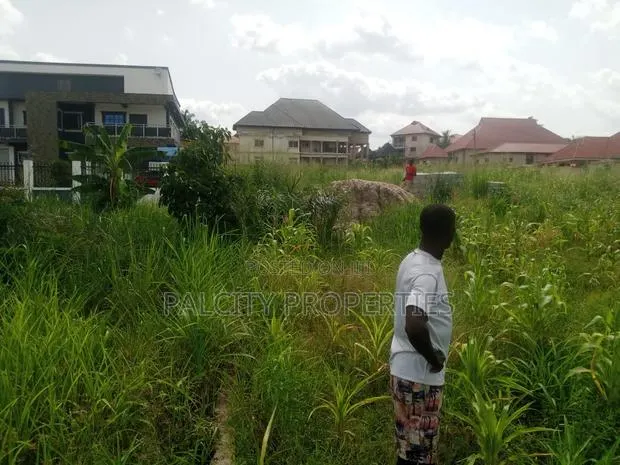 Land for Sale at Santasi Anyinam · Photo 1