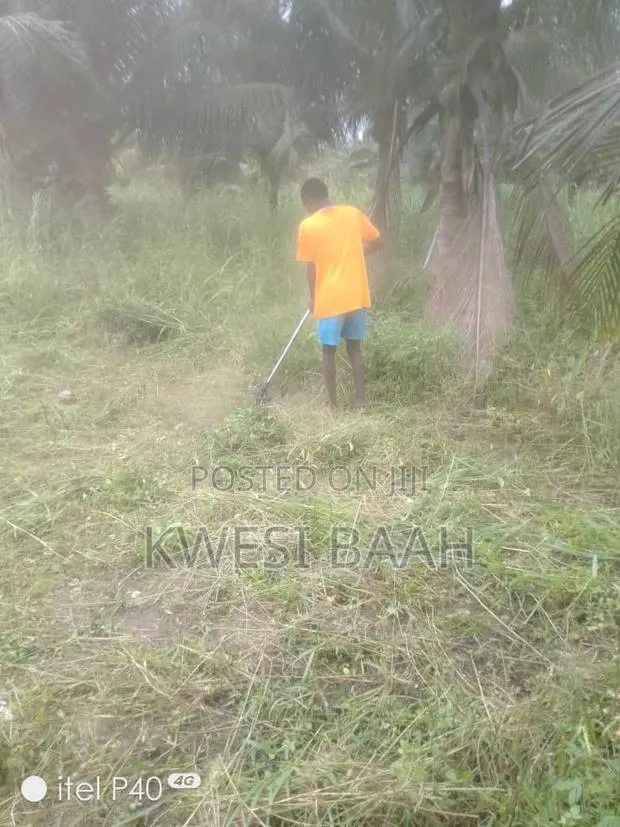 Domestic and Large-Scale Weeding,Grass Cutting · Photo 1