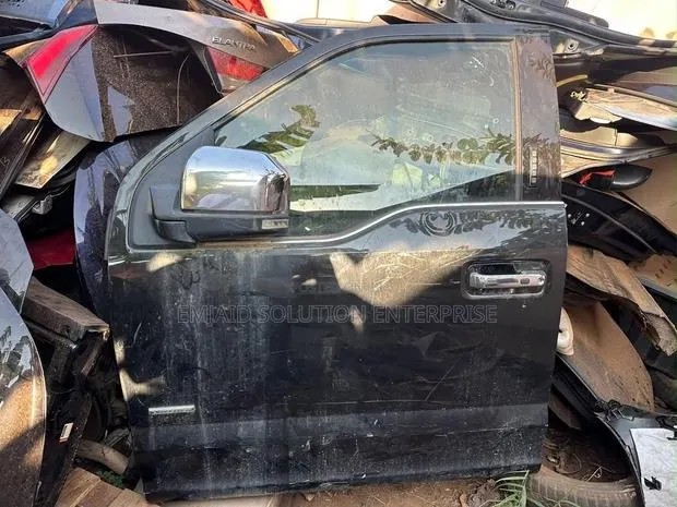 Ford F-150 Front Door · Photo 1