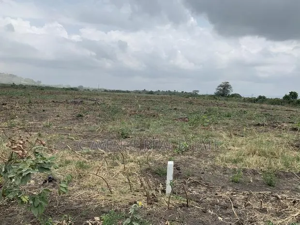 100% Litigation -Free Half Plots in Dawhenya Zion City · Photo 1