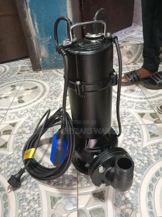 Leo Water Pump 1.5hp Submersible Pump · Photo 1