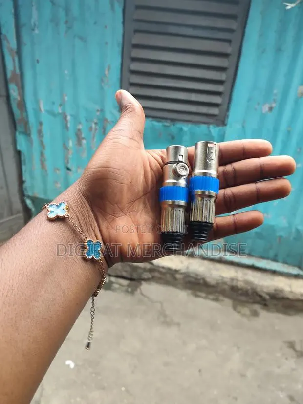 Silver With Blue Cannon Plugs · Photo 1
