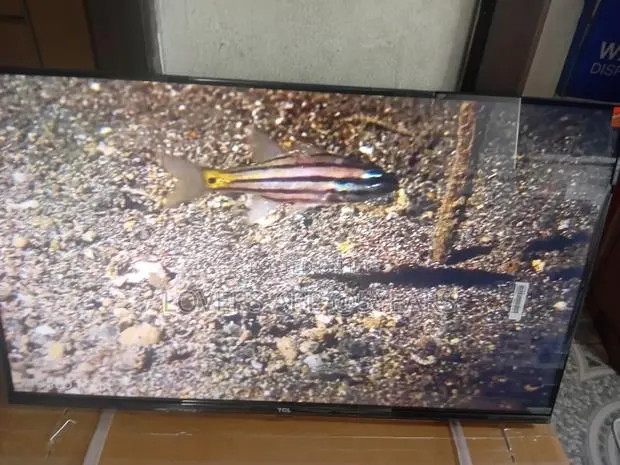 TCL 32-Inch Led Smart Tv for Home Viewing · Photo 1