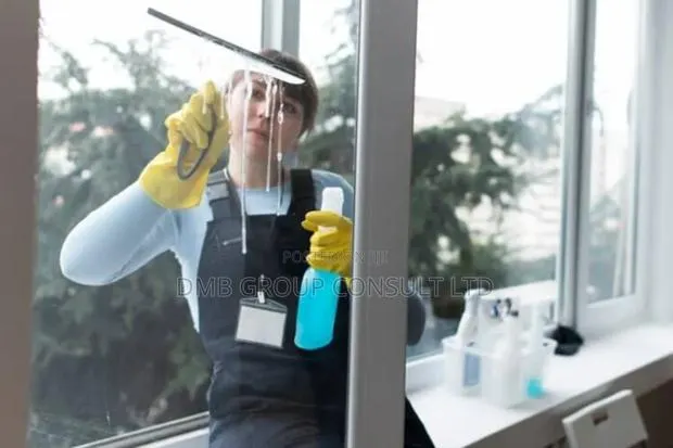 Ready to Clean Cleaners · Photo 1