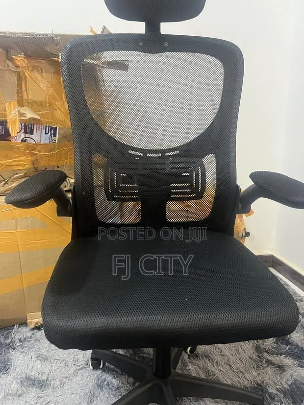 Ergonomic Chair · Photo 1