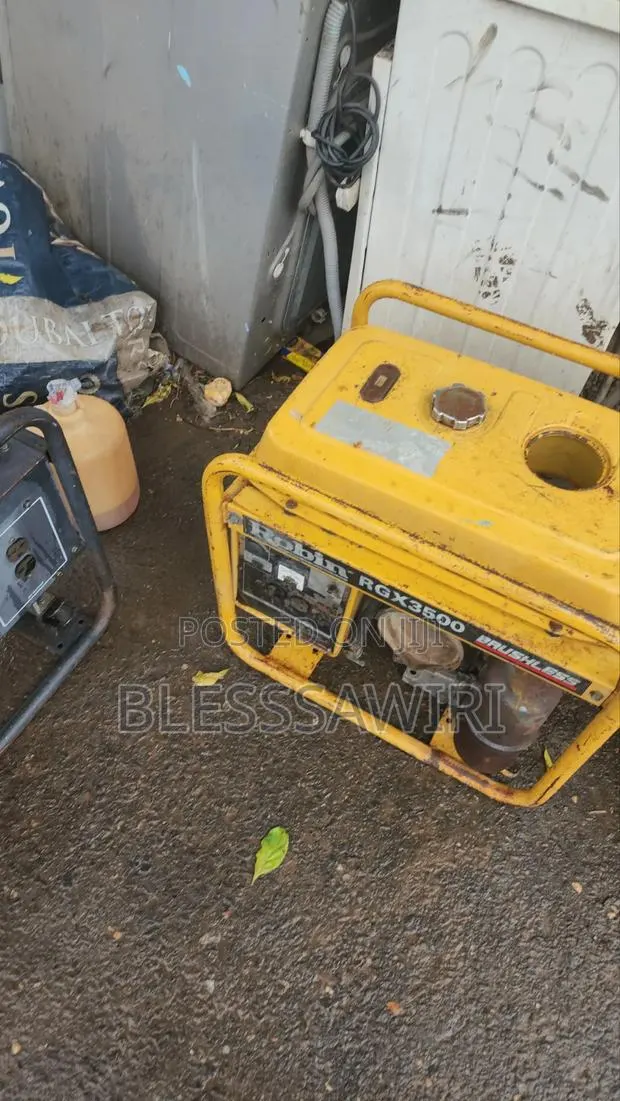 Powerful Robin Generator Home Used From Europe · Photo 1