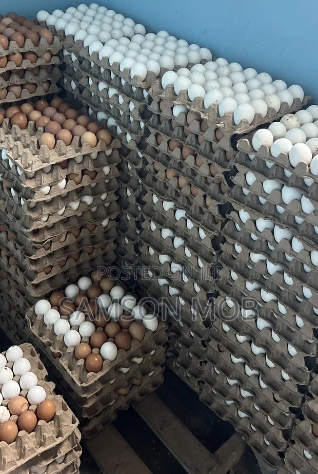 Fresh Egg Distribution · Photo 1