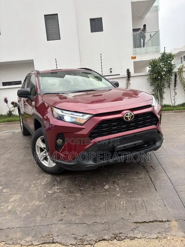 Toyota RAV4 LE AWD 2019 Red · Photo 1