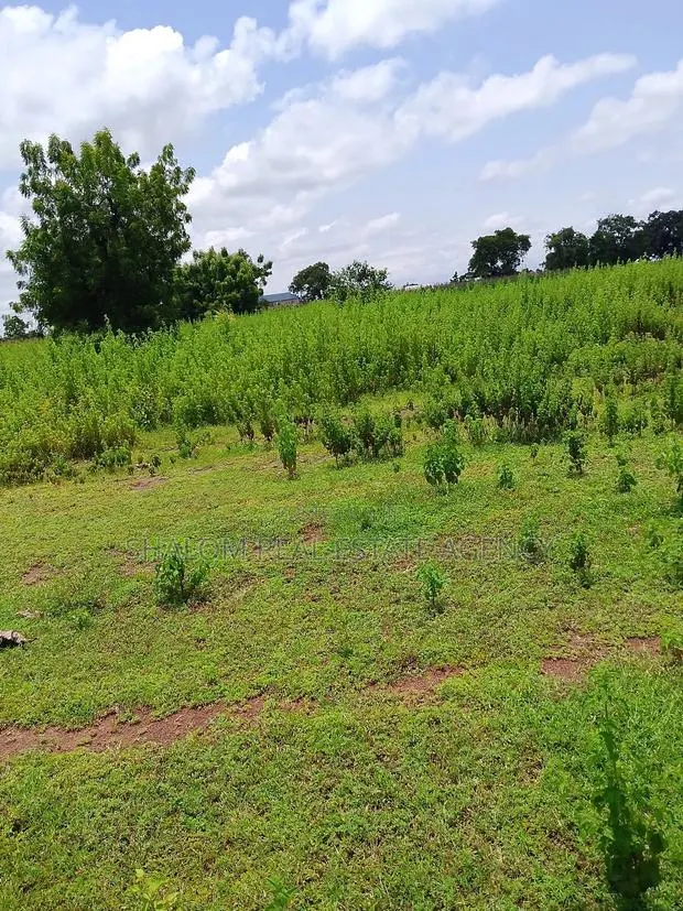Plots at Jontong-Jangyili for Sale · Photo 1
