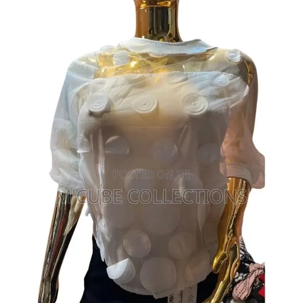 Women's Sheer Mesh Top – 3d Appliqué Design · Photo 1