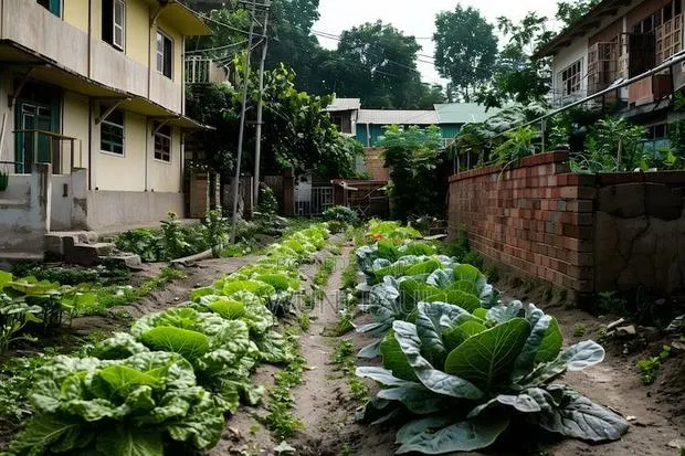 Backyard Vegetables Garden · Photo 1