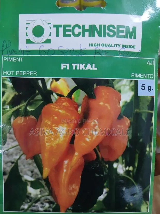 F1 Tikal Habanero Pepper · Photo 1