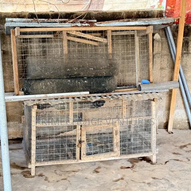 Wooden Cage With Mesh 12 Ft Length