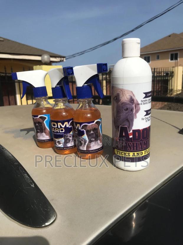 Ticks Fleas Spray and Shampoo Combo 1 · Photo 3