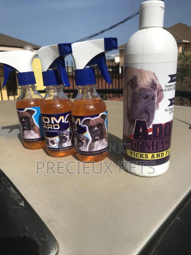 Ticks Fleas Spray and Shampoo Combo 1 · Photo 4