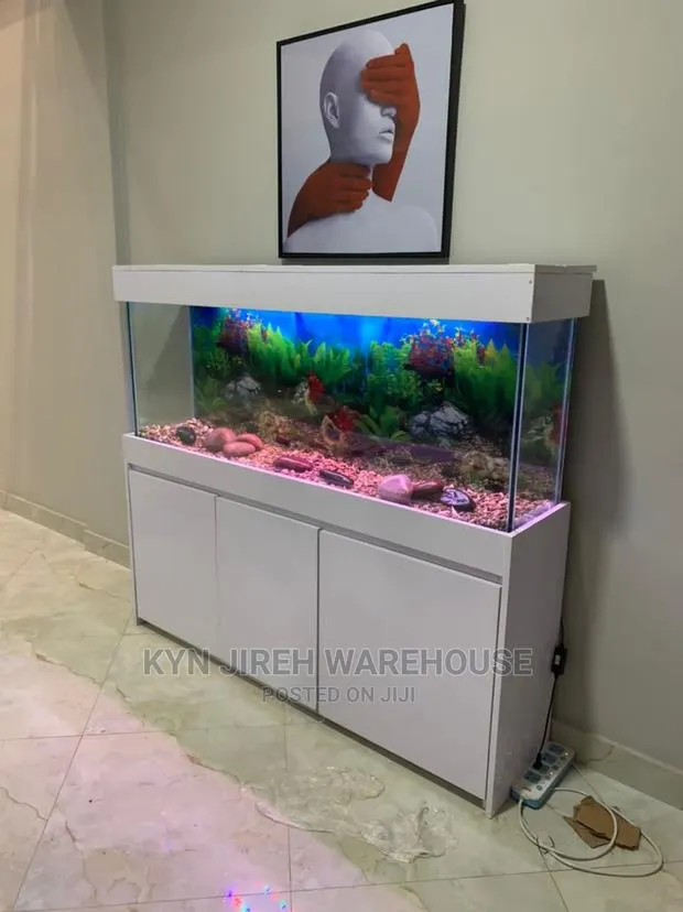 Mr Lee Aquarium With Fishes · Photo 1