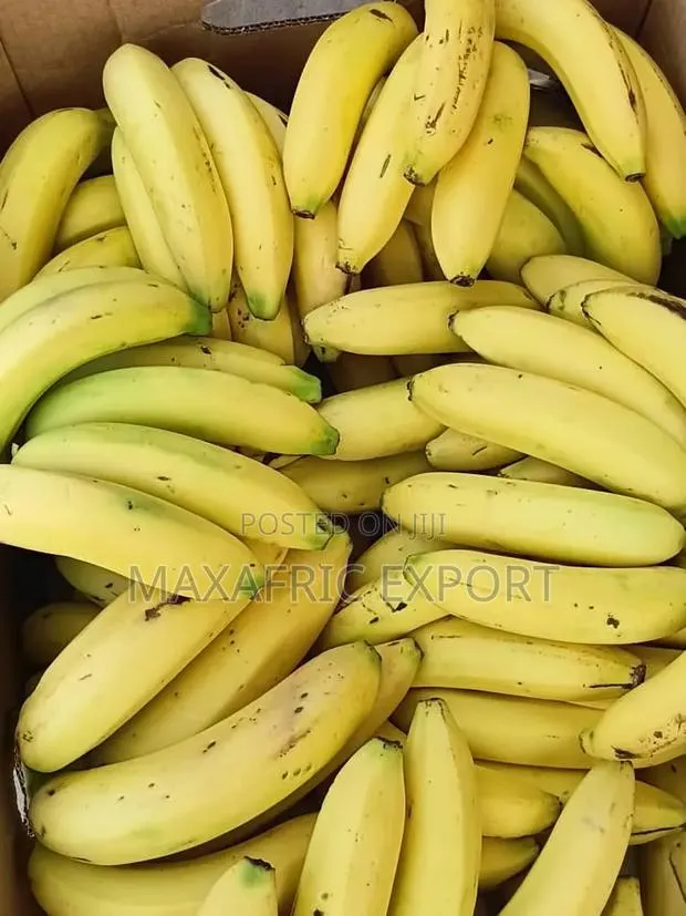 Fresh Banana · Photo 1