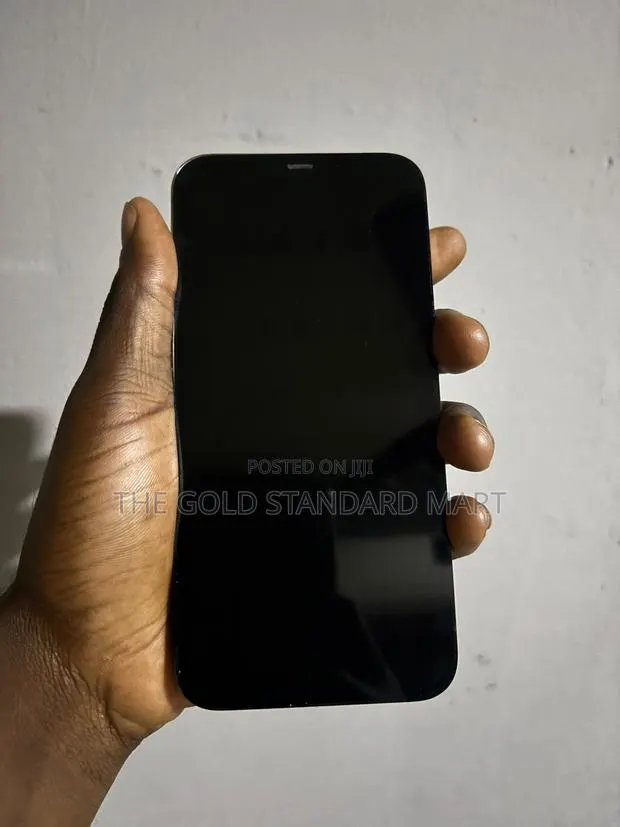 iPhone 12 Pro Max Screen · Photo 1