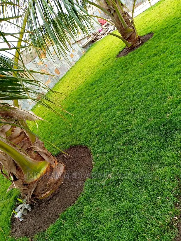 Healthy Garden Maintenance · Photo 1