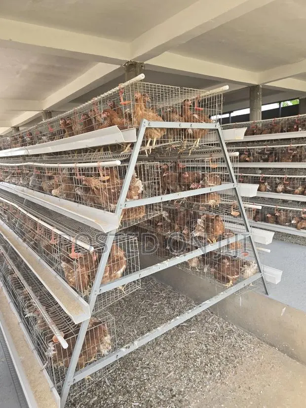 Battery Cage System · Photo 1