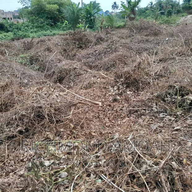 Half Plot for Sale at Mpintsin Plot Enterprise · Photo 1