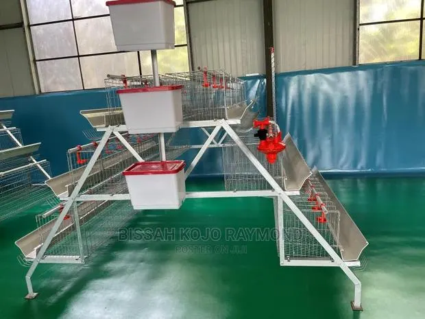 Battery Cage System Poultry House · Photo 1