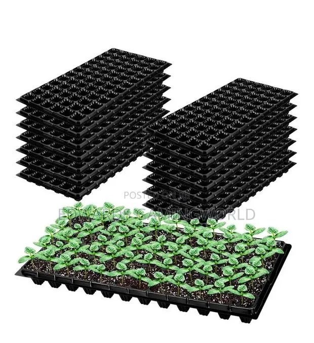 Seeds Tray for Farming · Photo 4