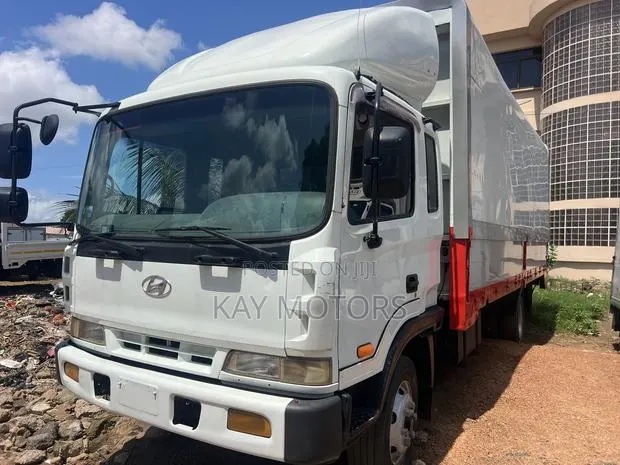Hyundai 5 Ton Container 2010 White · Photo 1