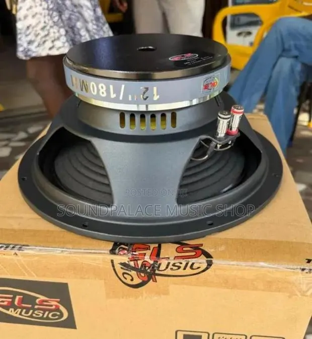 GLS Music 12-Inch 600watt Pair of Naked Speaker · Photo 1