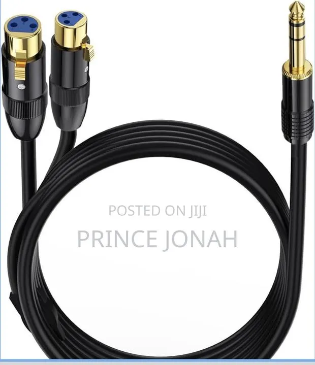 Lokeke 0.5m Dual Female XLR 1/4 Inch 6.35mm Male Plug Y-Splitter Cable · Photo 1