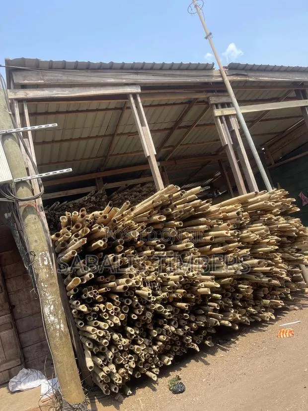 Thick Quality Bamboo for Your Decking and Flooring · Photo 1