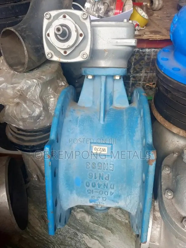 16" Butterfly Valve Pn16 · Photo 1