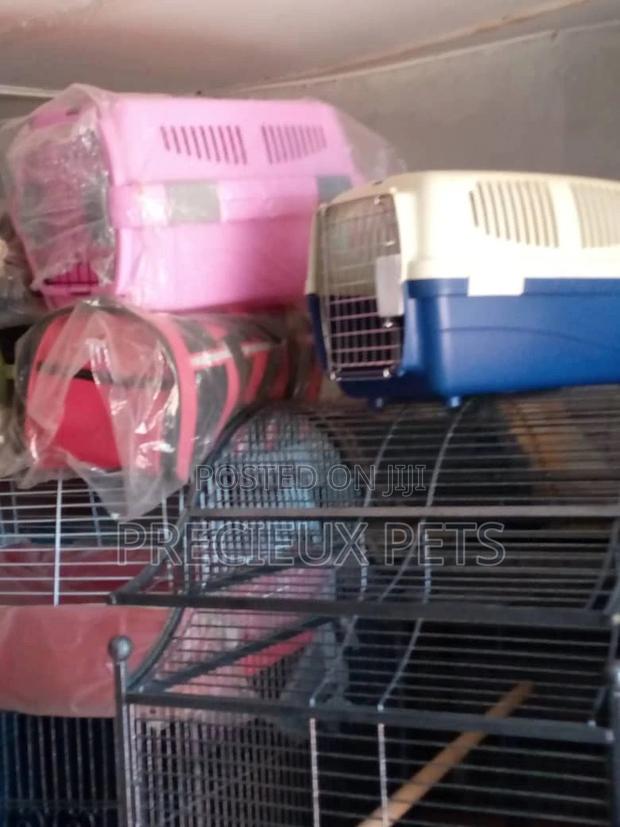 Plastic Crate For Puppies And Toy Dogs · Photo 2