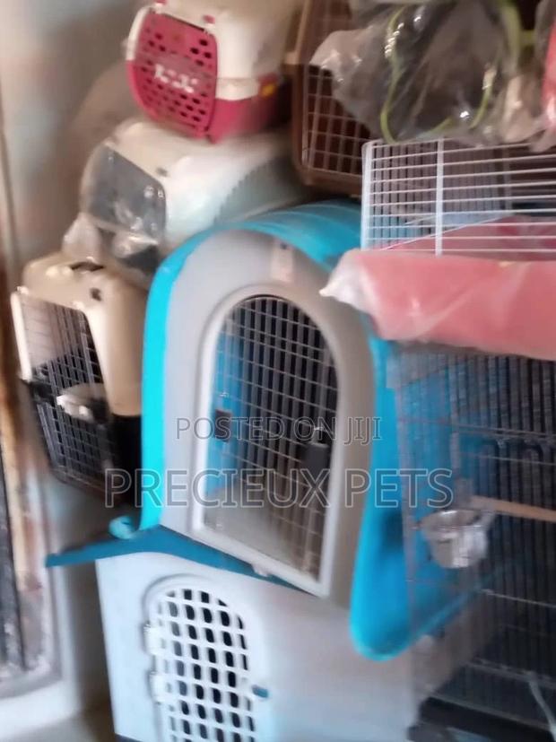 Plastic Crate For Puppies And Toy Dogs · Photo 3