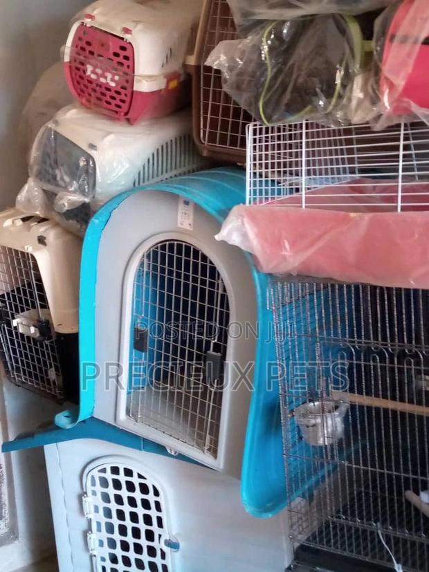 Plastic Crate For Puppies And Toy Dogs · Photo 4